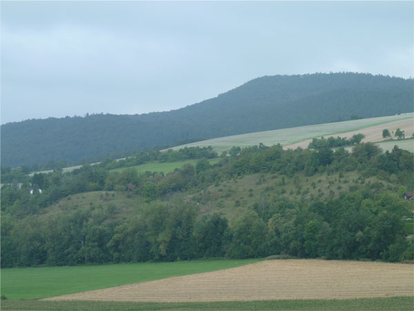 Mehlberg